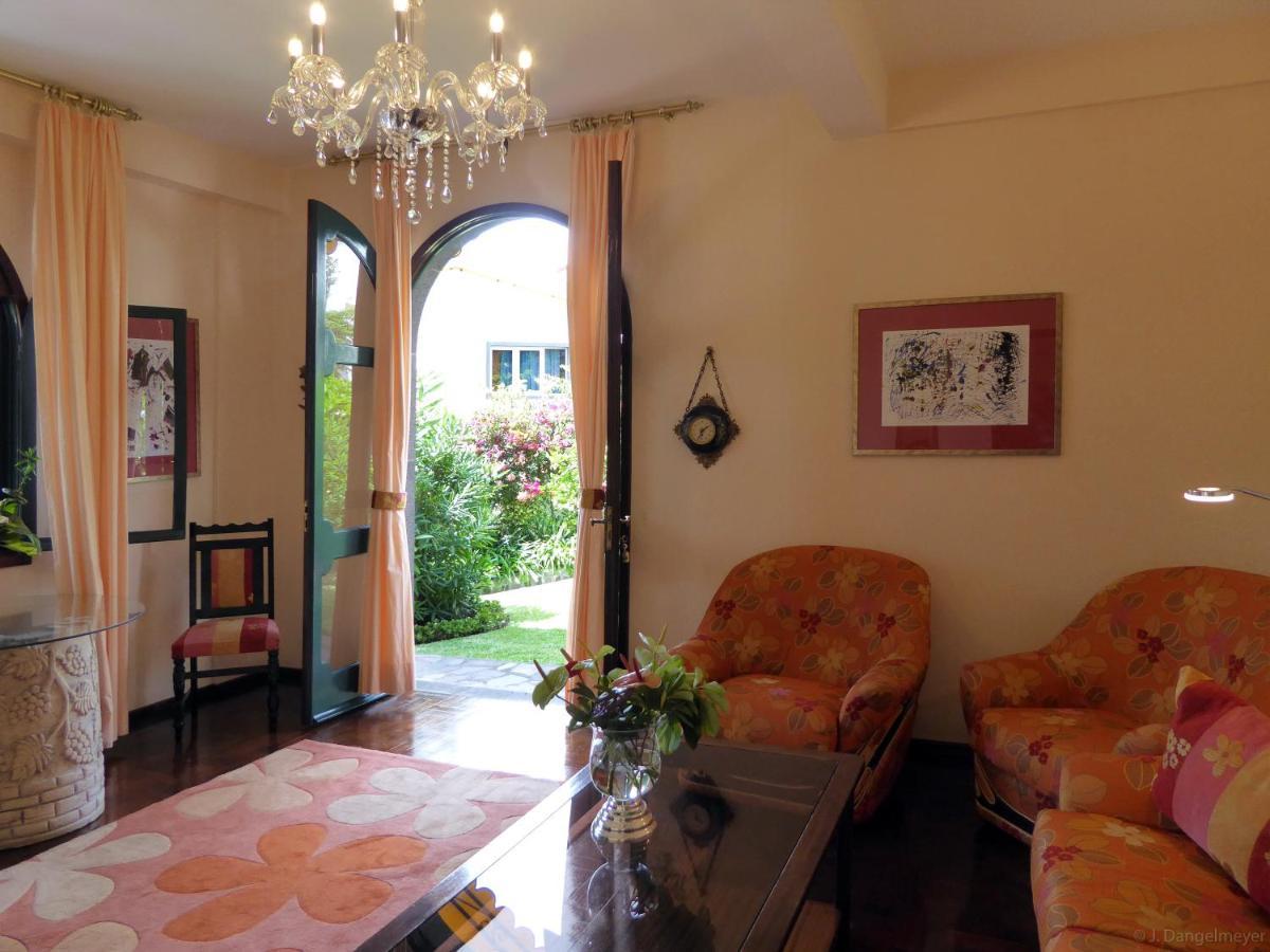 Villa Erika Madeira كانيكو المظهر الخارجي الصورة