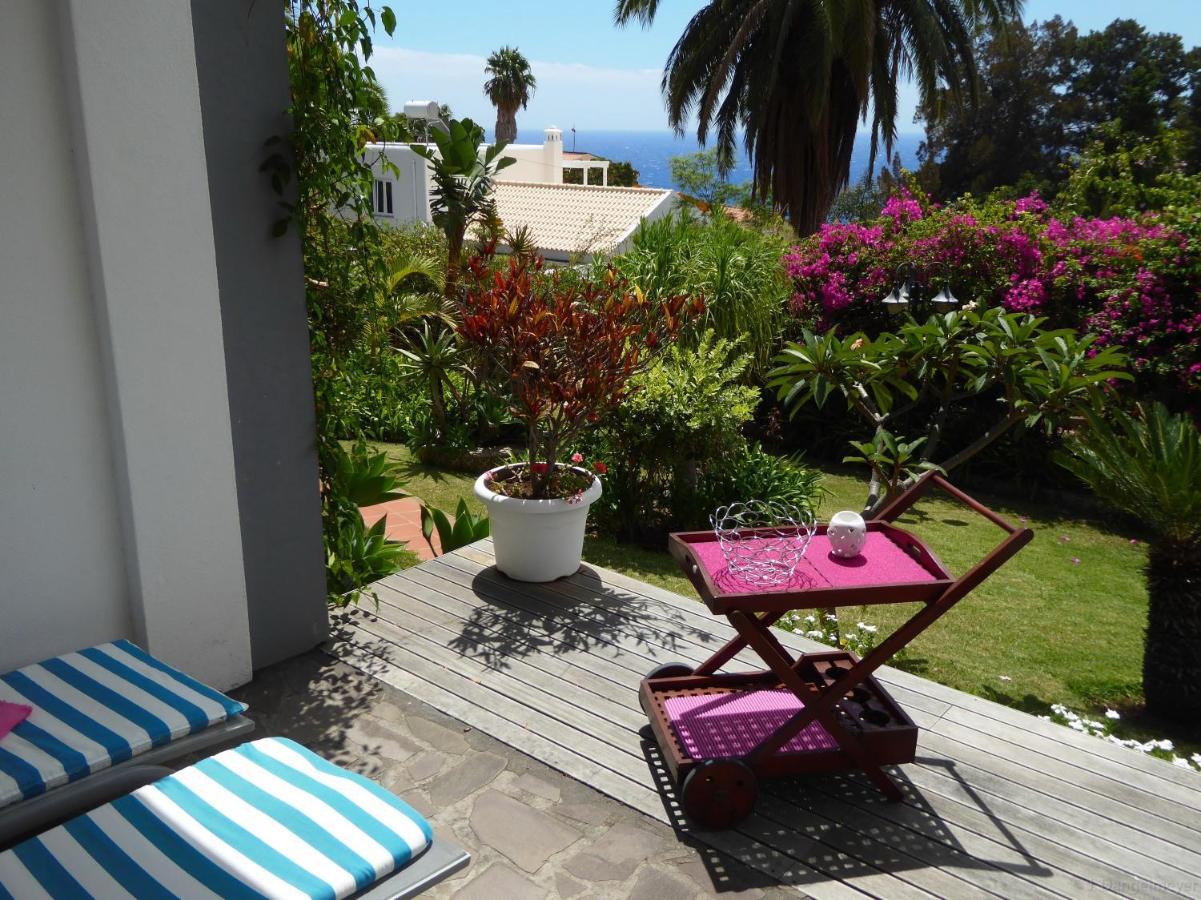 Villa Erika Madeira كانيكو المظهر الخارجي الصورة