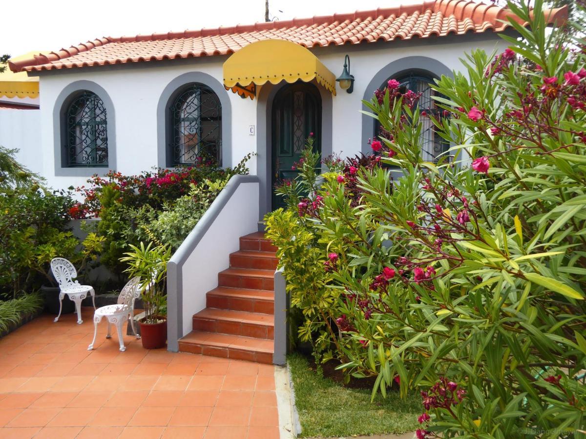 Villa Erika Madeira كانيكو المظهر الخارجي الصورة