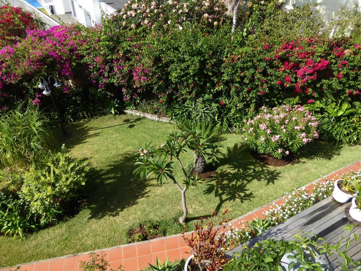 Villa Erika Madeira كانيكو المظهر الخارجي الصورة