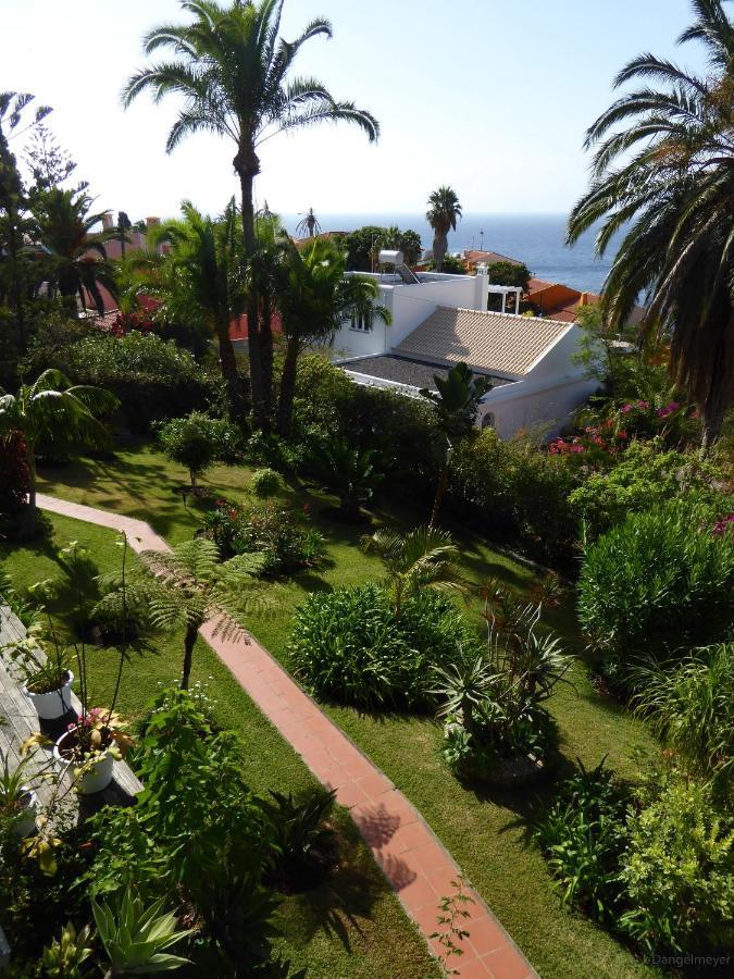 Villa Erika Madeira كانيكو المظهر الخارجي الصورة