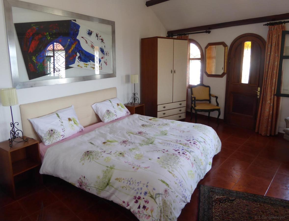 Villa Erika Madeira كانيكو المظهر الخارجي الصورة