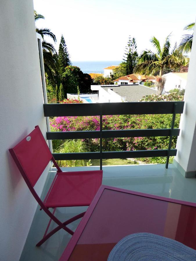 Villa Erika Madeira كانيكو المظهر الخارجي الصورة